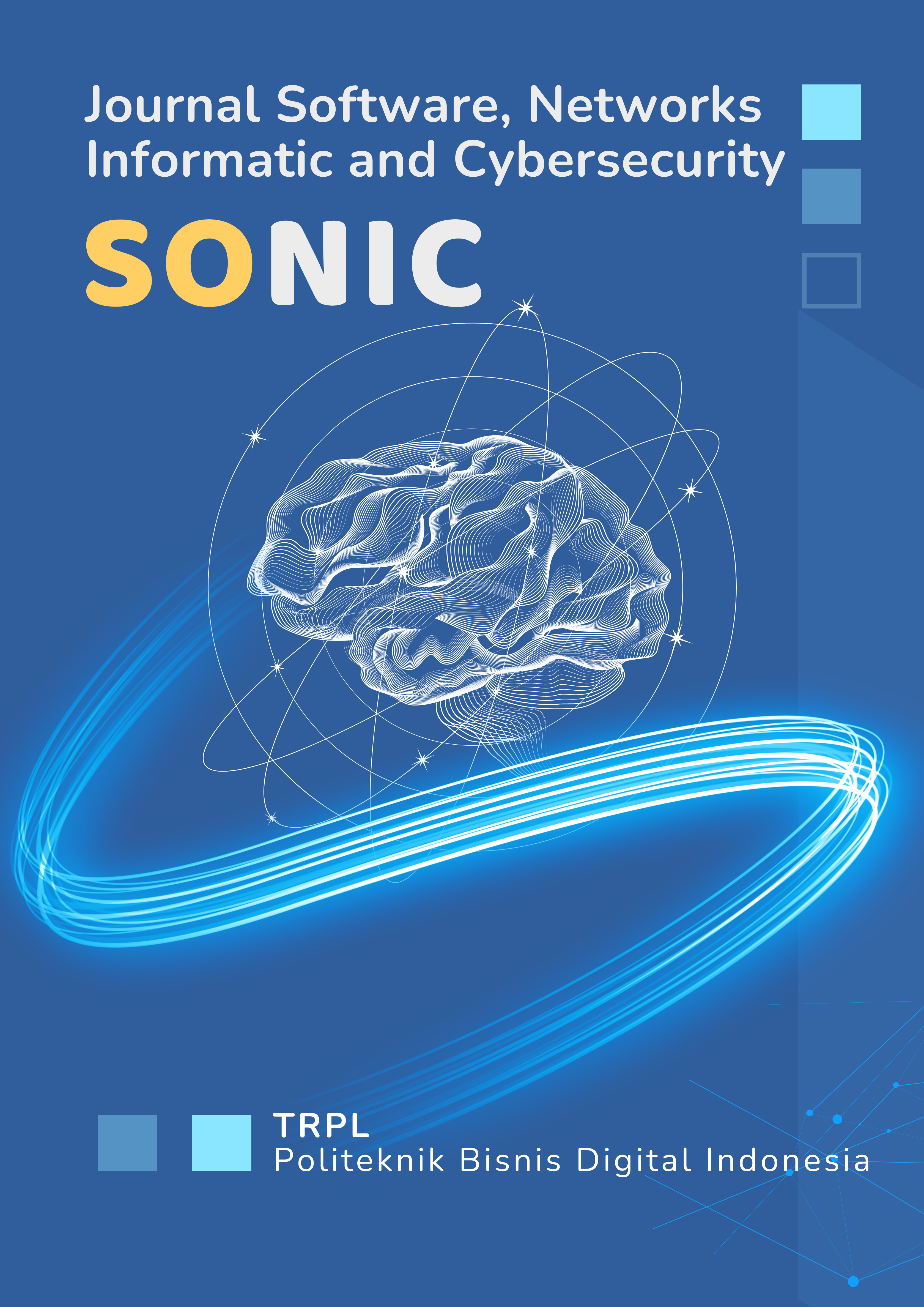 View Vol. 1 No. 1 (2025): Software Networks, Information and Cybersecurity